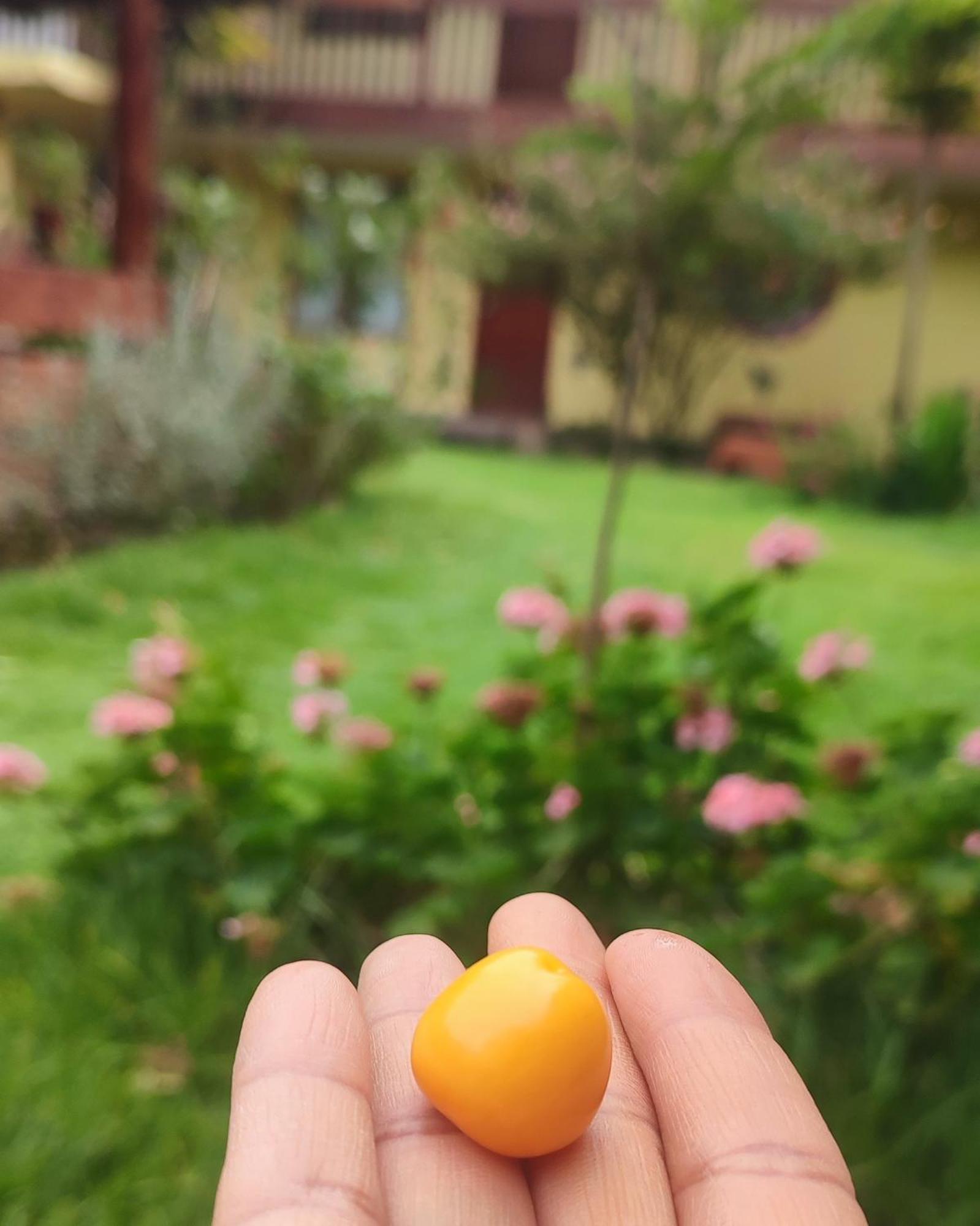 Hospedaje Chaska Pisac Kültér fotó